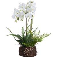 Hill Interiors Orchid & Fern Garden in White