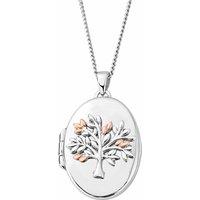 Clogau Women's Tree of Life Sterling Silver Locket in Metallics