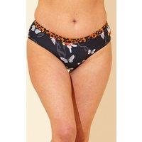 Beachcomber Women's Contrast Trim Bikini Brief in Black | Size: 10