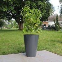 Woven Wood 70cm Zinc Matte Grey Cone Planter