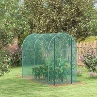 OUTSUNNY Fruit Cage, Plant Protection Tent, 1.2 x 2.4 x 1.9m in Green