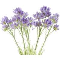 Pegdev Pack of 6 60cm Artificial Purple Starflower Stems with Silk Flowers