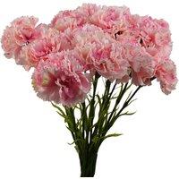 Pegdev Pack of 12 Artificial Pink Carnation Stems for Home or Wedding Use