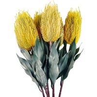 Pegdev Pack of 6 75cm Artificial Yellow Banksia Stems for Floral Dcor