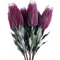 Pegdev Pack of 6 75cm Artificial Pink Banksia Stems for Floral Dcor