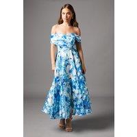 Coast Women's Stripe Organza Pleated Top Floral Print Midi Dress in Blue | Size: 12