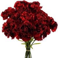 Pegdev Pack of 12 Artificial Red Carnation Stems for Home or Wedding Use