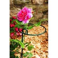 Poppyforge Large Bunch Support Rust (Pack of 4) - L30.5 x W30.5 x H86 cm - BM/RtR in Green