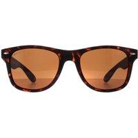 montana Men's Square Turtle Brown Polarized MP1B-XL