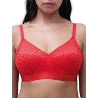 Chantelle Women's Easy Feel Norah Wirefree Support Bra in Red | Size: 40E