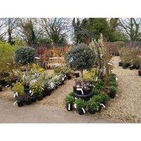 Poppyforge Round Tunnel Arch (Including Ground Spikes) Garden Moon Gate Archway in Black