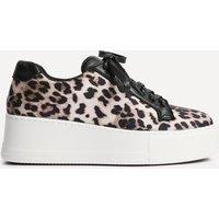 Linzi Women's Twyla Leopard Print Trainers in Yellow | Size: 3-Standard Fit