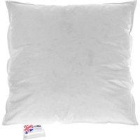 Homescapes Goose Down Cushion Pads Machine Washable Inserts & Fillers in White | Size: 30 cm x 30 cm