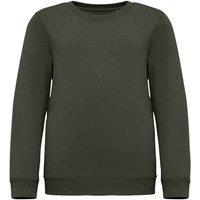 Native Spirit Sweatshirt in Khaki | Size: 4-6 Years