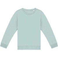 Native Spirit Sweatshirt in Jade | Size: 4-6 Years