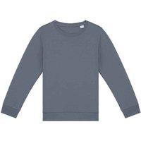 Native Spirit Sweatshirt in Mid Grey | Size: 4-6 Years