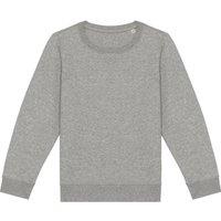 Native Spirit Sweatshirt in Light Grey | Size: 4-6 Years