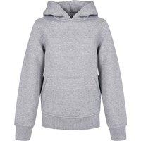 Build Your Brand Basic Hoodie in Grey | Size: 13-14 Years