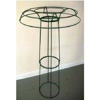 Medium Tuteur Plant Border Support, Steel, L61 x W61 x H122 cm - Green