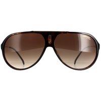 Carrera Men's Aviator Dark Havana Brown Gradient Hot65