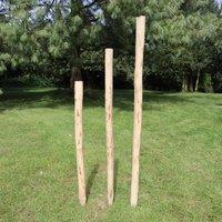 Woven Wood 240 cm Rustic Chestnut Fence Posts for Hazel Hurdles in Natural