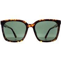 montana Men's Square Shiny Turtle G15 Polarized MP67 in Brown