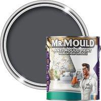 MR MOULD Anti-Mould Paint - 5L - Best Anti Mould Protection Paint for all Interior Walls & Ceilings in Classic Grey