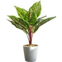 Leaf Potted Artificial Plant Realistic Calathea Veitchiane 38cm in Green