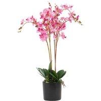 Leaf 60cm Design UK Realistic Artificial Orchid Flower Display in Pot in Pink