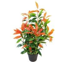 Leaf 80cm Realistic Red Robin Artificial Ficus Tree / Plant in Green