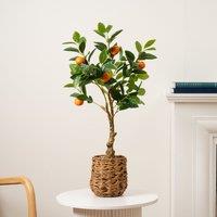 Scottish Everlastings Ltd 76cm Orange Tree in Woven Basket in Green