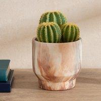 Scottish Everlastings Ltd 20cm Cactus in Cement Pot in Green