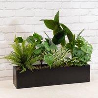 Scottish Everlastings Ltd 65cm Mixed Outdoor Container in Green