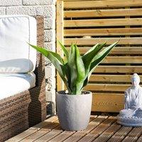 Scottish Everlastings Ltd UV 57cm Agave in grey pot in Green