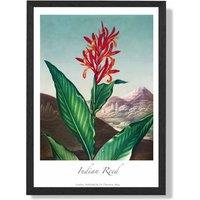 ARTZE Vintage Floral Exhibition - Indian Reed Framed Print SIZE: A2 with Black Frame in Red