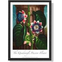 ARTZE Vintage Floral Exhibition - Quadrangle Passion flower Framed Print SIZE: A3 with Black Frame in Green | Size: A2