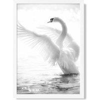 ARTZE Graceful Swan Bird Black & White Photo Framed Print SIZE: A2 with White Frame