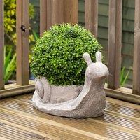 Scottish Everlastings Ltd 33cm Boxwood Topiary Tortoise UV in Green