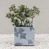 Primrose Stone Effect Garden Planter with Leaf Embossed Design in Grey 27cm