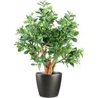 Leaf 70cm Artificial Deluxe Jade Plant in Green
