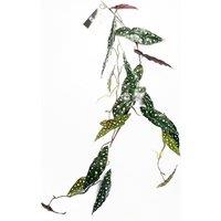 Leaf 110cm Artificial Hanging Trailing Begonia Maculata Spotted Plant in Purple