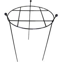 Samuel Alexander Pack of 2 Tom Chambers Cottage Heavy Duty Black Metal Steel Herbaceous Garden Plant Support Grow Through Large 80cm x 45cm