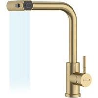 Appaso Kitchen Taps with Pull Out Spray Stainless Steel Gold