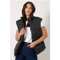 Long Tall Sally Women's Tall Padded Gilet in Black | Size: 12