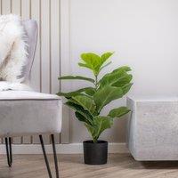 Scottish Everlastings Ltd 70cm Real Touch Fiddleleaf Fig in Green