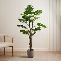 Scottish Everlastings Ltd 160cm Real Touch Monstera in Green