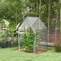 OUTSUNNY Tomato Greenhouse with 2 Zipped Doors, Outdoor Green House, Clear