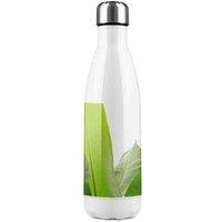 Benjamin Tate Design Green Leaves On White Stainless Steel Bottle in Natural