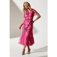 Coast Women's Petite Printed Lace Midi Pencil Dress in Pink | Size: 4