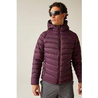 Dare 2b Men's Torrek Padded Walking Hooded Jacket in Purple | Size: Small